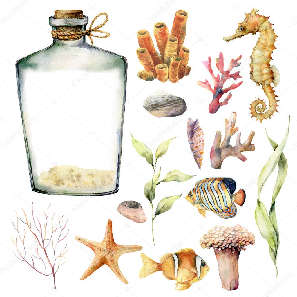 Watercolor nautical set with coral animals, plants and fish. Hand painted underwater branches, starfish, bottle isolated on white background. Sea life illustration. For design, print or background.