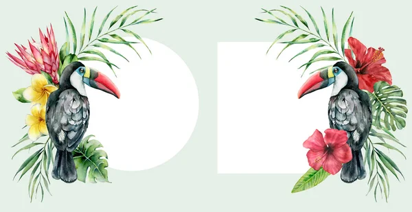 熱帯の花の花束とトゥーカンと水彩カード。手描きの鳥、プロテア、ハイビスカス、プルメリアは白い背景に隔離されています。デザイン、プリントのための自然植物イラスト. — ストック写真