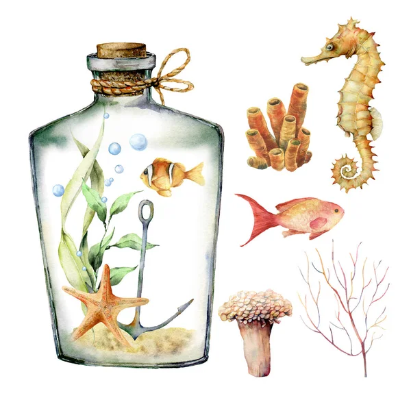 Aquarel aquarium met koraal dieren, planten en vissen. Handgeschilderde onderwater takken, Starfish, fles geïsoleerd op witte achtergrond. Zee leven illustratie voorontwerp, afdrukken of achtergrond. — Stockfoto