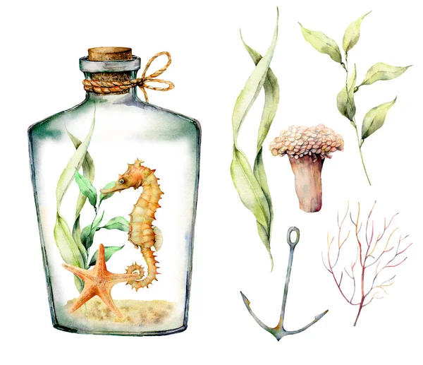 Ensemble nautique aquarelle avec animaux coralliens, plantes, poissons et ancre. Branches sous-marines peintes à la main, étoile de mer, bouteille isolée sur fond blanc. Illustration pour la conception, l'impression ou le fond . — Photo