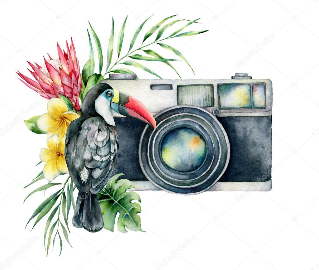 Watercolor card composition with camera, flower bouquet an toucan. Hand painted photographer logo with protea and leaves illustration isolated on white background. For design, prints or background.