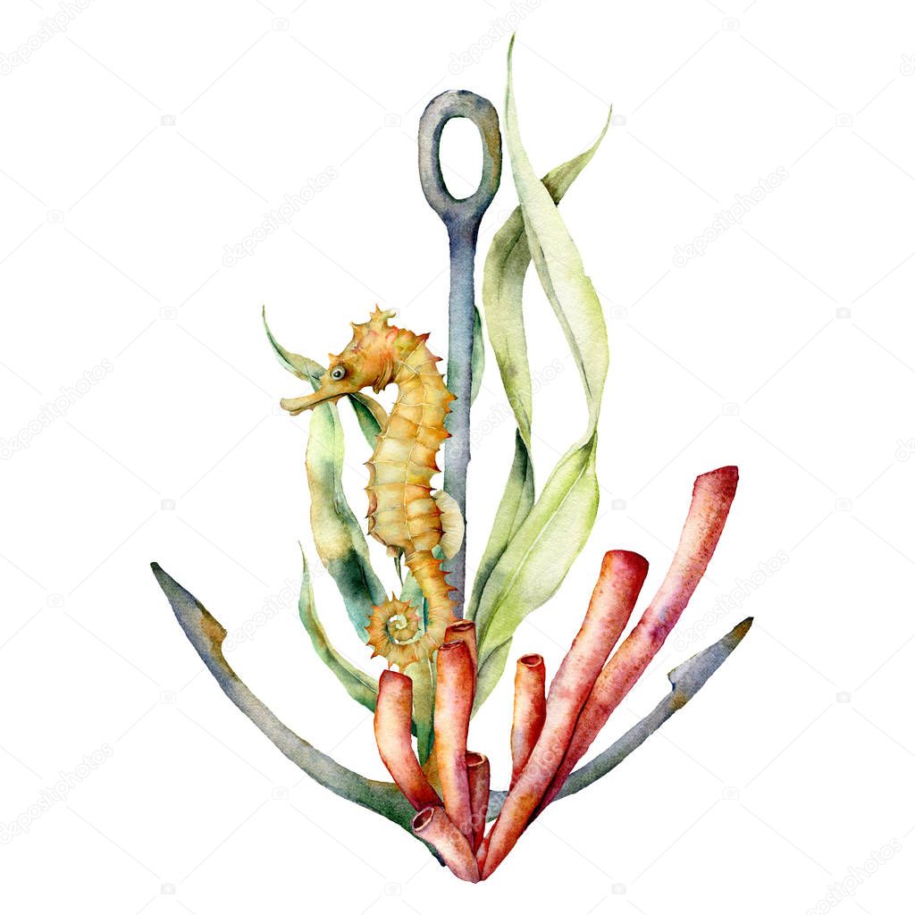 Watercolor anchor, coral and seahorse composition. Hand painted underwater illustration with seaweed branch, leaves isolated on white background. Aquatic illustration for design, print or background.