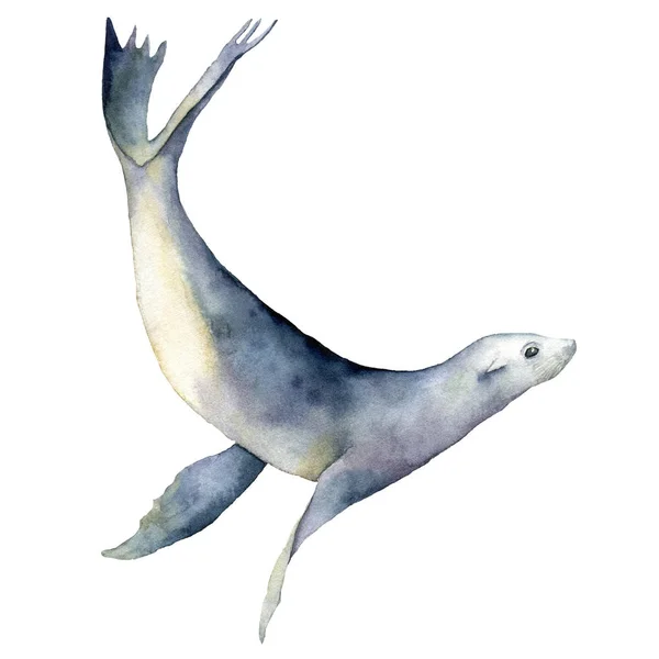 水彩海狮。在白色背景上孤立的水下动物插图。用于设计、打印或背景. — 图库照片