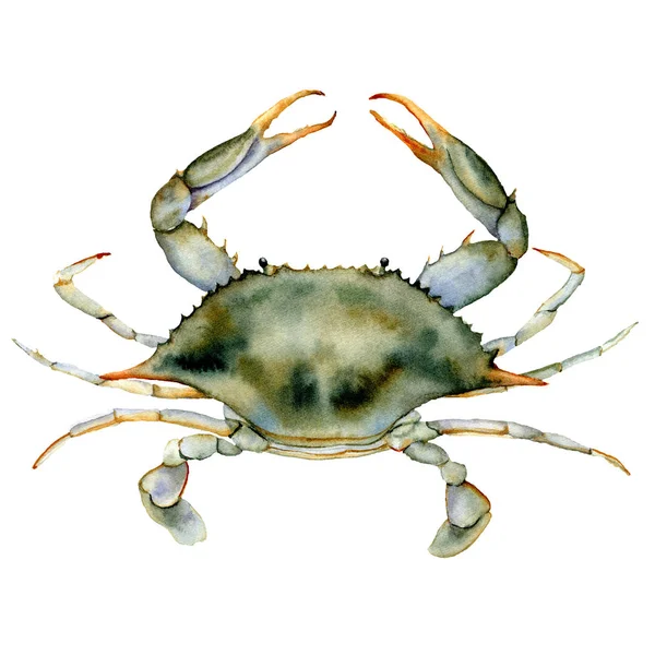 Akvarell blå krabba. Undervattens djur illustration isolerad på vit bakgrund. För design, utskrifter eller bakgrunds. — Stockfoto