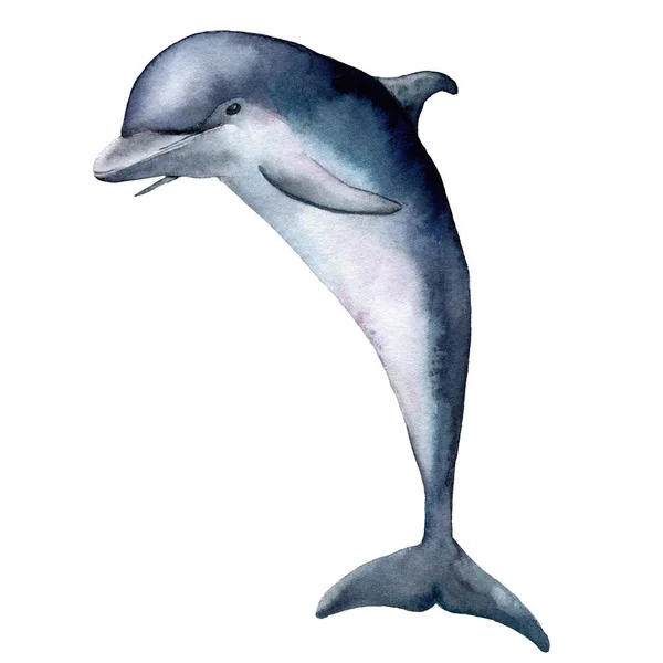 水彩海豚。在白色背景上孤立的水下动物插图。用于设计、打印或背景. — 图库照片