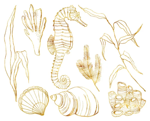 水中セットの水彩画アート。手描きの海馬、ラミナリア、サンゴ、貝殻は白い背景に隔離されています。デザイン、印刷、背景の水生アウトラインイラスト。美しい野生動物. — ストック写真