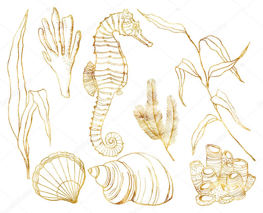 Watercolor line art underwater set. Hand painted seahorse, laminaria, corals and shell isolated on white background. Aquatic outline illustration for design, print or background. Beautiful wildlife