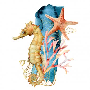 Suluboya denizatı, kabuk ve denizyıldızı kompozisyonu. El beyaz arka plan üzerinde izole mercan resifi ile sualtı illüstrasyon boyalı. Tasarım, baskı veya arka plan için su illüstrasyonu.