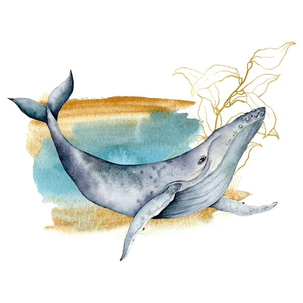 블루 고래와 라인 아트 라미나리아와 수채화 카드. 흰색 배경에 고립 된 손으로 그린 수중 조성물. 디자인, 패브릭 프린트 또는 배경을 위한 야생 동물 일러스트레이터. — 스톡 사진