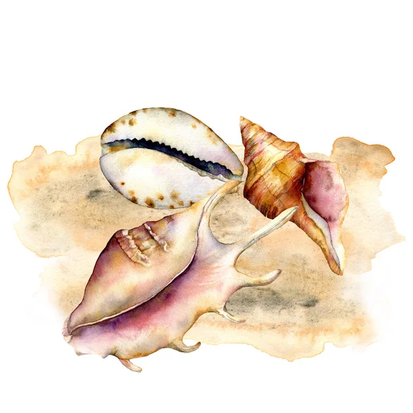 Watercolor shells composition on the sand. Hand painted underwater elements isolated on white background. Aquatic illustration for design, print or background. Trendy nautical collection.