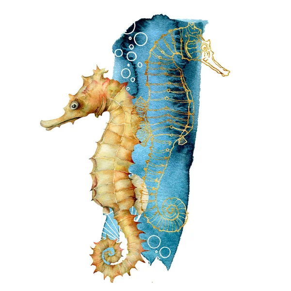 수채화 해마 조성물. 흰색 배경에 고립 된 손으로 그린 수중 동물. 디자인, 인쇄 또는 배경을위한 수중 황금 선 아트 일러스트레이션. — 스톡 사진