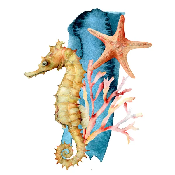 수채화 해마, 산호 및 불가사리 조성. 흰색 배경에 고립 된 산호초와 손으로 그린 수중 동물. 디자인, 인쇄 또는 배경을 위한 수중 일러스트레이션. — 스톡 사진