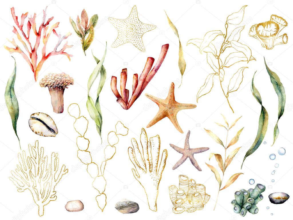 Watercolor floral underwater set. Hand painted coral reef plants with leaves and branches isolated on white background. Aquatic golden line art illustration for design, print or background.