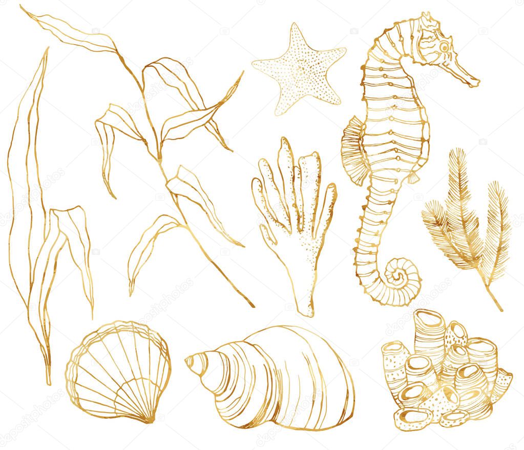 Vector line art underwater set. Hand painted watercolor seahorse, laminaria, corals and shells isolated on white background. Aquatic outline golden illustration for design, print or background