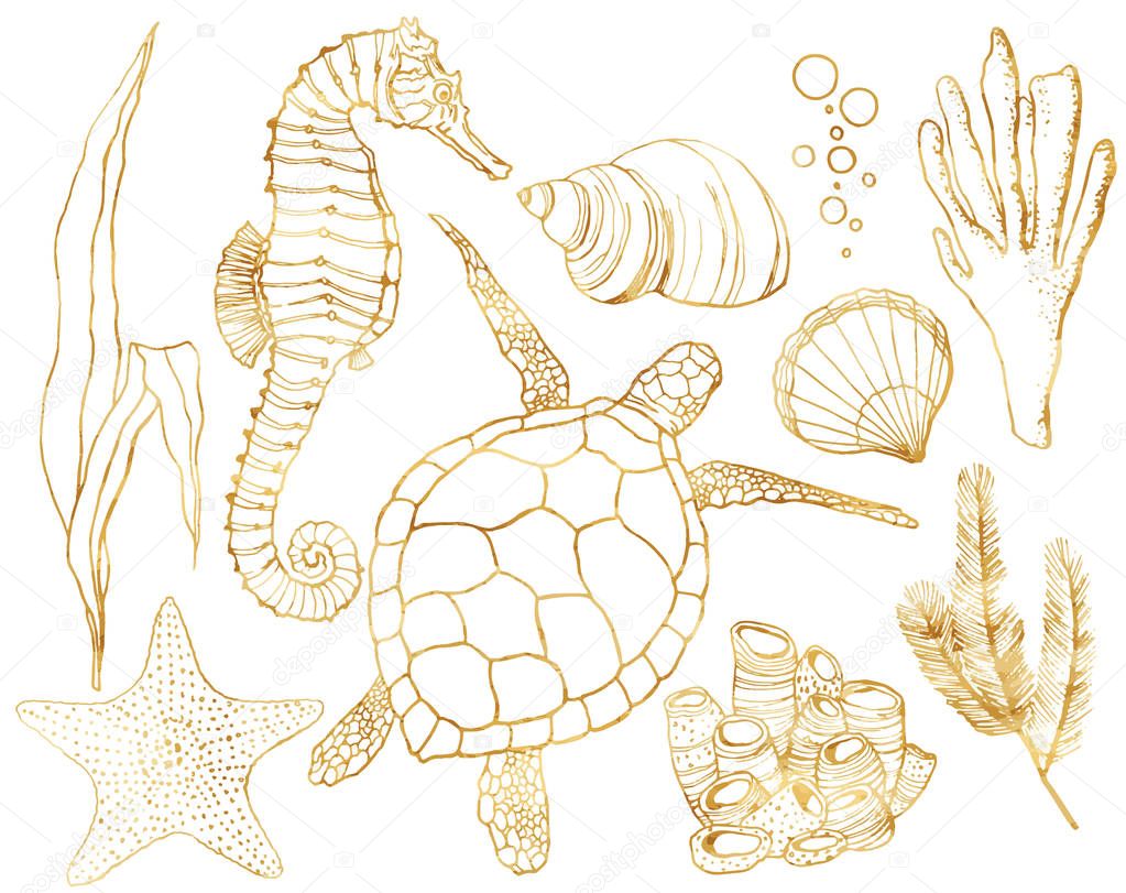Vector set with underwater animals and coral reef plants. Hand painted golden turtle, seahorse, laminaria, coral and shell isolated on white background. Line art illustration for design, print