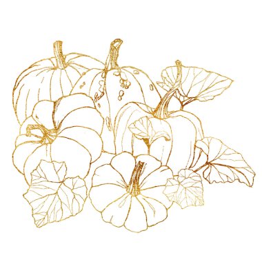 Sonbahar hasat festivali için çizgi sanatı altın kart. El yaprakları ve dalları beyaz arka plan üzerinde izole ile geleneksel kabak boyalı. Tasarım, baskı veya arka plan için botanik illüstrasyon.