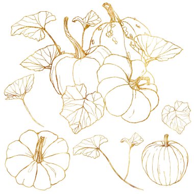 Festival için çizgi sanatı altın seti. El yaprakları ve dalları beyaz arka plan üzerinde izole ile geleneksel kabak boyalı. Tasarım, baskı veya arka plan için botanik illüstrasyon.
