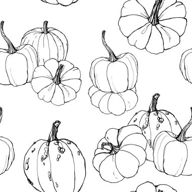 Sonbahar festivali için çizgi sanatı dikişsiz desen. El beyaz arka plan üzerinde izole dalları ile geleneksel kabak boyalı. Tasarım, baskı veya arka plan için botanik illüstrasyon.