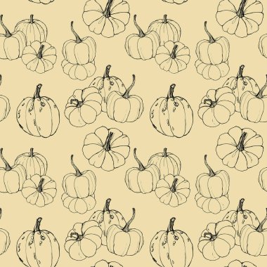 Sonbahar kabakları ile çizgi sanatı dikişsiz desen. El bej arka plan izole dalları ile geleneksel kabak boyalı. Tasarım, baskı veya arka plan için botanik illüstrasyon.