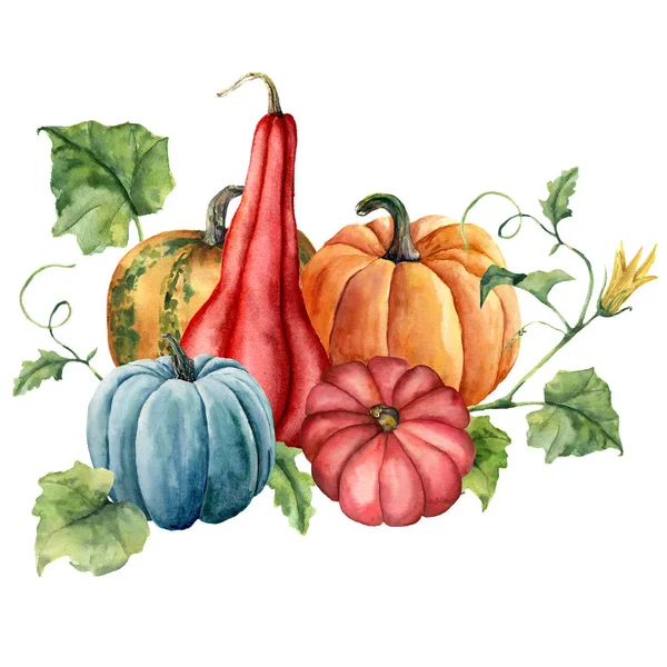 Aquarel kaart met pompoenen samenstelling. Handgeschilderde rode, blauwe en oranje pompoenen met bladeren geïsoleerd op witte achtergrond. Herfst festival. Botanische illustratie voorontwerp, afdrukken of achtergrond. — Stockfoto