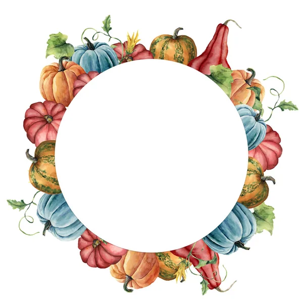 水彩圆边框与南瓜花束。手绘红色、蓝色和橙色南瓜,叶子在白色背景上隔离。用于设计、打印、织物或背景的植物插图. — 图库照片