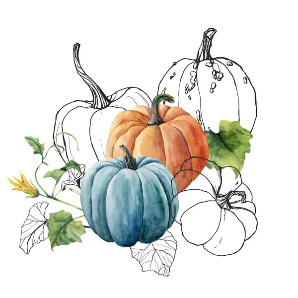 Watercolor colored and black pumpkins bouquet. Hand painted orange and blue pumpkins with leaves isolated on white background. Autumn festival. Botanical illustration for design, print or background.