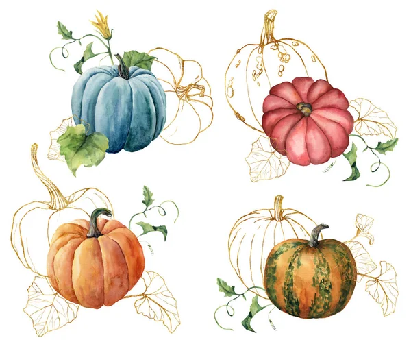 Akvarell kompozíció Golden gourds. Kézzel festett, kék, narancssárga sütőtök és levelek elszigetelt fehér háttér. Őszi fesztivál. Botanikai illusztráció tervezés, nyomtatás vagy háttér. — Stock Fotó