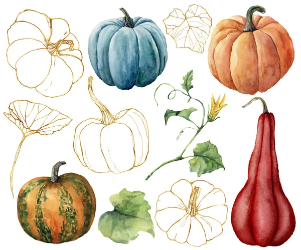 Aquarell mit goldenen Kürbissen. Handbemalte rote, blaue, orangefarbene, gestreifte Kürbisse und Blätter isoliert auf weißem Hintergrund. Herbstfest. Botanische Illustration für Design, Druck oder Hintergrund. — Stockfoto