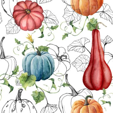 Kırmızı ve mavi kabaklar ile suluboya Dikişsiz desen. Siyah arka planda izole yaprakları ile el boyalı bostan bitkiler. Sonbahar Festivali. Tasarım, baskı, kumaş veya arka plan için botanik illüstrasyon.