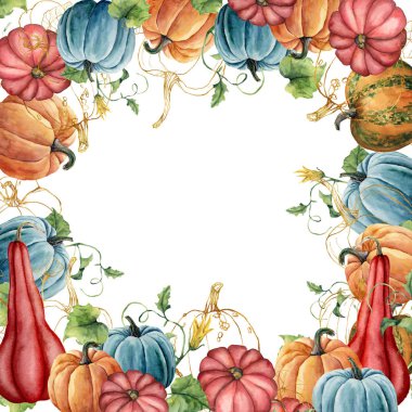 Altın bostan bitkiler kompozisyon ile suluboya çerçevesi. Beyaz arka planda izole edilmiş kabaklar ve yaprakları ile el boyalı kart. Sonbahar Festivali, tasarım, baskı veya arka plan için botanik illüstrasyon.