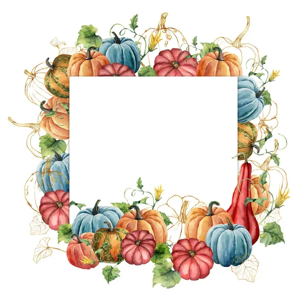 황금 호박 조성물 수채화 프레임. 흰색 배경에 고립 된 조자와 잎손으로 그린 카드. 가을 축제, 디자인, 인쇄 또는 배경을위한 식물 그림. — 스톡 사진