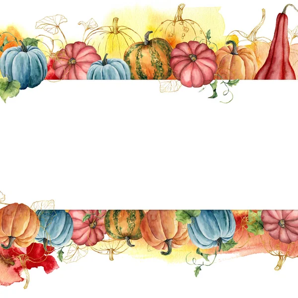 황금 호박 조성물 수채화 테두리. 흰색 배경에 고립 된 김과 나뭇잎손으로 그린 배너. 가을 축제, 디자인, 인쇄 또는 배경을위한 식물 그림. — 스톡 사진