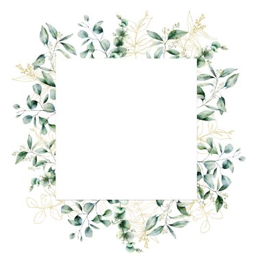 Suluboya altın okaliptüs kare kart. El boyalı okaliptüs dalı ve beyaz arka plan üzerinde izole yaprakları. Tasarım, baskı, kumaş veya arka plan için çizgi sanatı çiçek illüstrasyon.