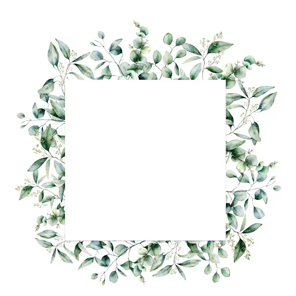 Tarjeta cuadrada de eucalipto acuarela. Rama de eucalipto pintada a mano y hojas aisladas sobre fondo blanco. Ilustración floral para diseño, impresión, tela o fondo . —  Fotos de Stock