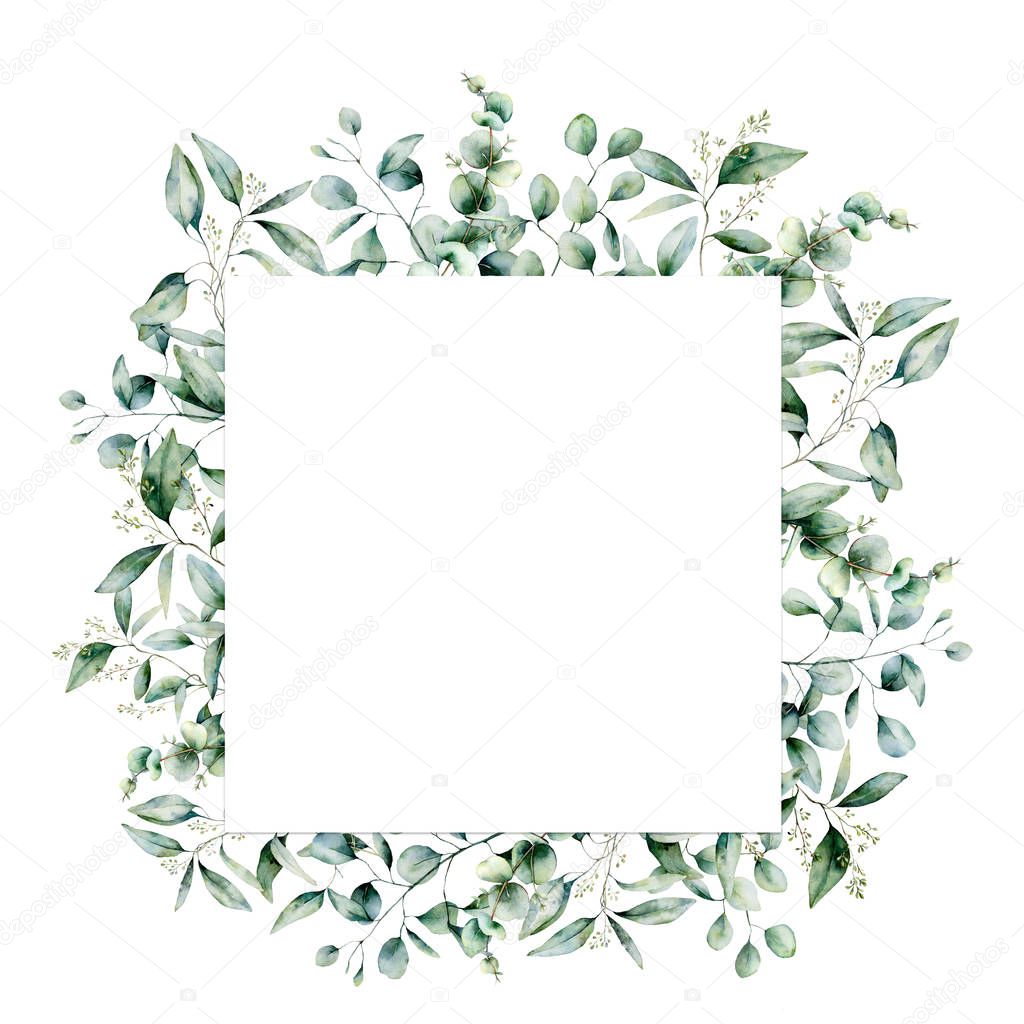 Watercolor eucalyptus square card. Hand painted eucalyptus branch and leaves isolated on white background. Floral illustration for design, print, fabric or background.