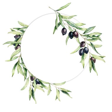 Zeytin meyveleri ve yaprakları ile suluboya çelenk. El boyalı çiçek daire sınır zeytin meyve ve beyaz arka plan üzerinde izole yaprakları ile ağaç dalları ile. Tasarım, baskı ve kumaş için.