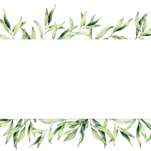Banner de acuarela con rama de olivo. Frontera botánica pintada a mano aislada sobre fondo blanco. Ilustración floral para diseño, impresión, tela o fondo . —  Fotos de Stock
