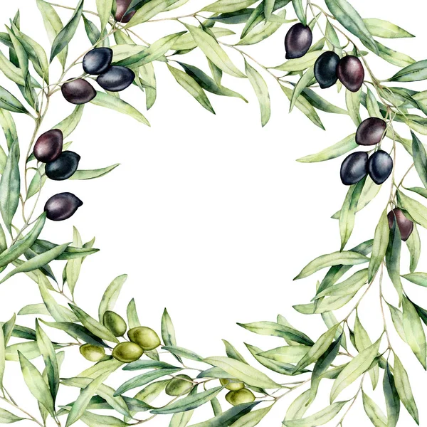 Watercolor border with green and black olive berries and branch. Hand painted botanical card with olives isolated on white background. Floral illustration for design, print, fabric or background.