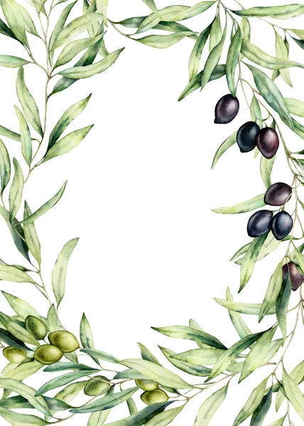 Watercolor border with black and green olive berries and branch. Hand painted botanical card with olives isolated on white background. Floral illustration for design, print, fabric or background.