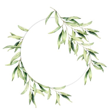 Suluboya zeytin çelenk bırakır. Beyaz arka plan üzerinde izole yaprakları ile zeytin ağacı dalları ile el boyalı çiçek daire kenar. Tasarım, baskı ve kumaş için.