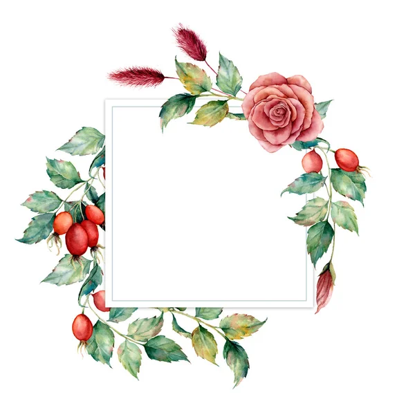水彩卡与狗玫瑰和叶子。手绘植物卡与狗玫瑰分支隔离在白色背景。用于设计、打印、织物或背景的花卉插图. — 图库照片