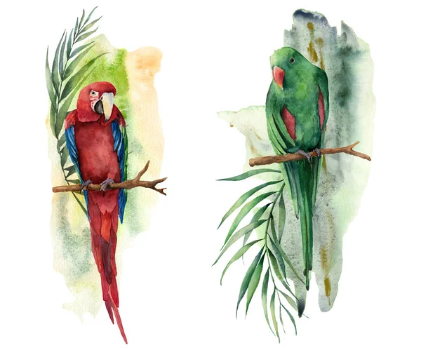 オウムと水彩の熱帯の組成物。手描きの赤と緑のマコー、ヤシとバナナの枝は、白い背景に隔離されています。熱帯の鳥と花柄。デザイン、印刷、背景用. — ストック写真