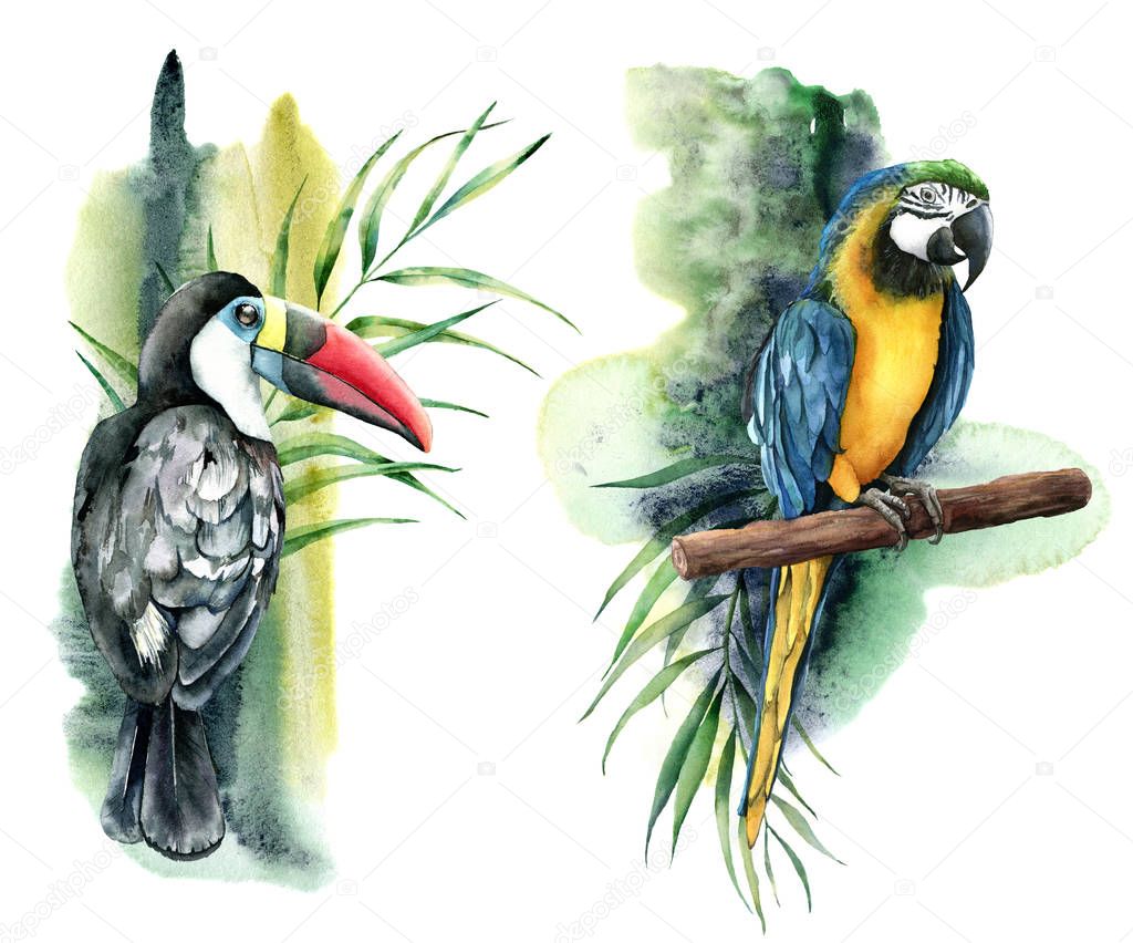 Watercolor tropical composition with tucan and parrots. Hand painted yellow macaw, palm and banana branch isolated on white background. Floral print with tropical bird. For design, print, background.