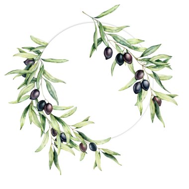 Zeytin yaprağı ve çilek ile suluboya çelenk. El boyalı çiçek daire sınır zeytin meyve ve beyaz arka plan üzerinde izole yaprakları ile ağaç dalları ile. Tasarım, baskı ve kumaş için.