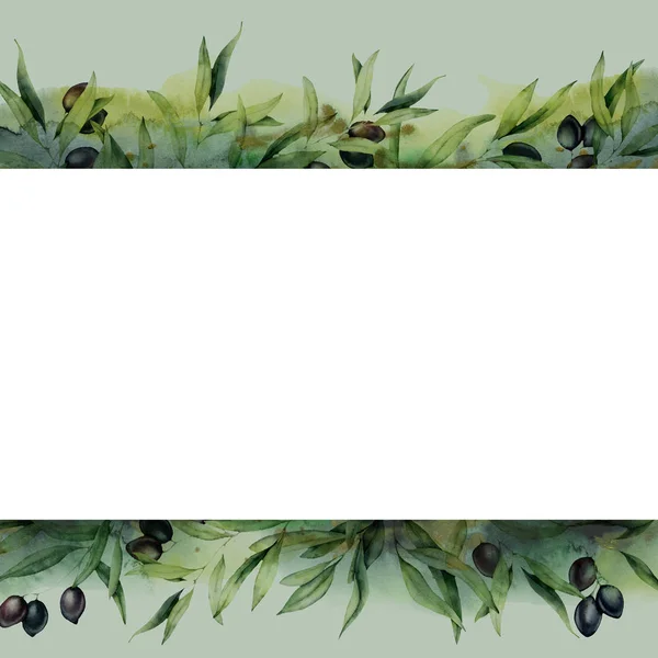 Akvarel s černou olivovou větví a bobule. Ručně namalovaná Botanická vlajka s olivami izolovanými na bílém pozadí. Květinové znázornění designu, tisku, tkaniny nebo pozadí. — Stock fotografie