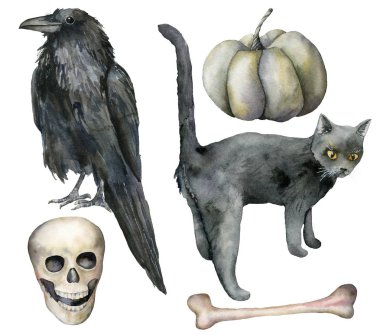 Karga ve kedi ile suluboya halloween ayarlayın. Beyaz arka plan üzerinde izole kabak, kürek ve kemik ile el boyalı tatil seti. Tasarım, baskı veya arka plan için çizim.
