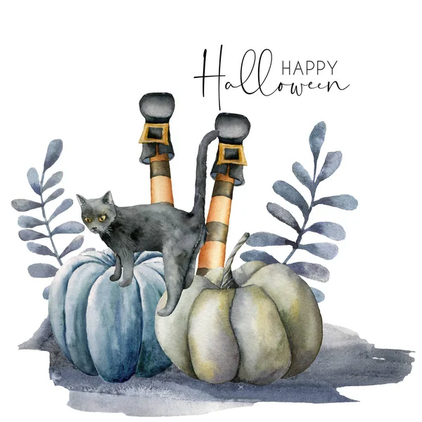 Aquarell-Halloween-Karte mit Katze und Kürbissen. Handgemalte Urlaubsschablone mit Kürbissen, Kater und Fußhexe isoliert auf weißem Hintergrund. Illustration für Design, Druck oder Hintergrund. — Stockfoto