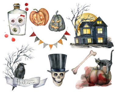Suluboya halloween elemanları ayarlayın. Kedi, kabak, ev, ağaç, kafatası, çelenk, karga ve beyaz arka plan üzerinde izole göz ile el boyalı tatil seti. Tasarım, baskı veya arka plan için çizim.