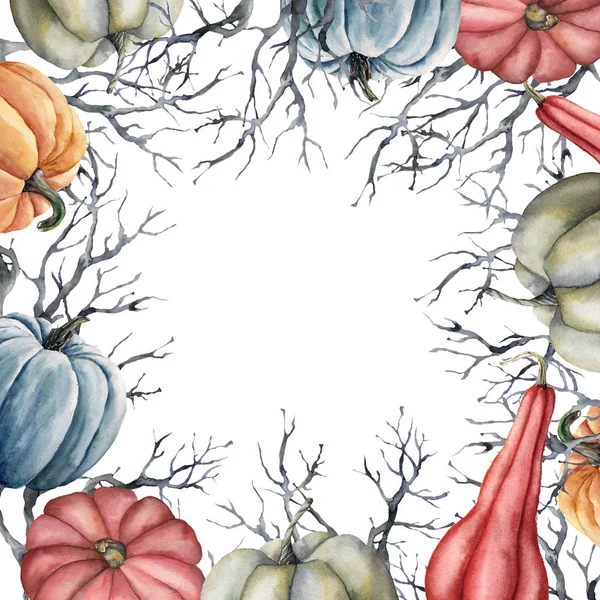 水彩画の秋のカボチャフレーム。手描きのオークの木の枝と白い背景に隔離されたうごろん。デザイン、プリント、ファブリックまたは背景のための花のイラスト. — ストック写真