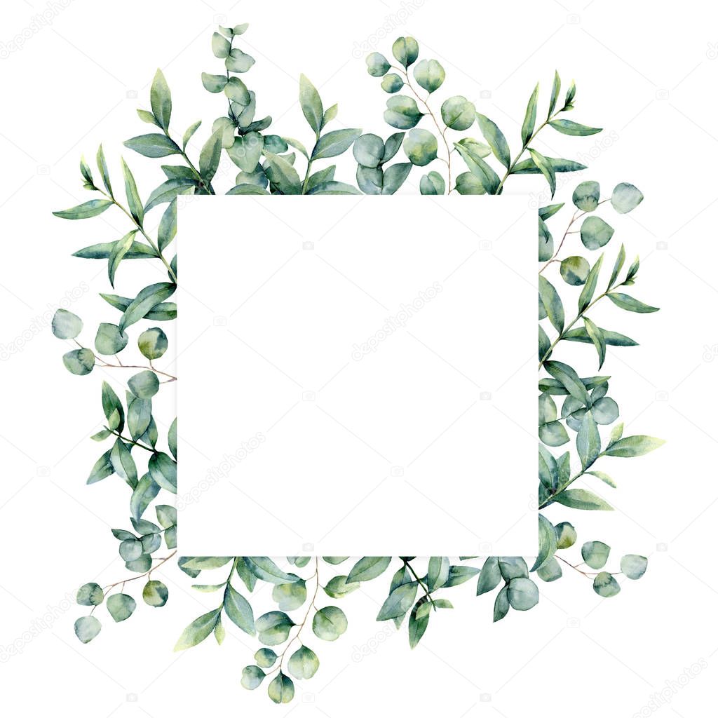 Watercolor eucaliptus leaves frame. Hand painted baby, seeded and silver dollar eucalyptus branch isolated on white background. Floral illustration for design, print, fabric or background.
